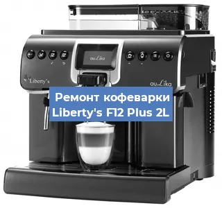 Декальцинация   кофемашины Liberty's F12 Plus 2L в Москве